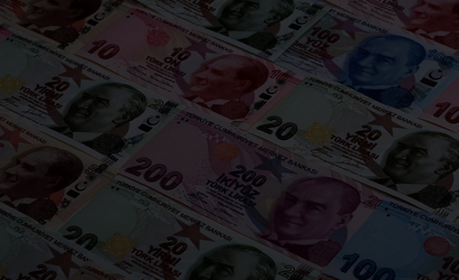 Türk Lirası'nın değer kaybı durdurulamıyor!