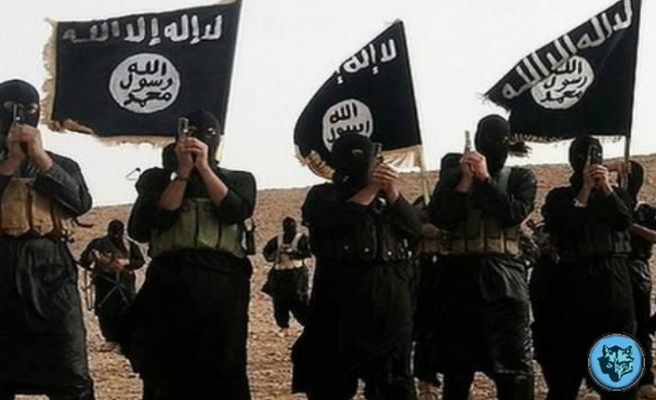 Yakalanan IŞİD'çi İsrail'den yardım istedi