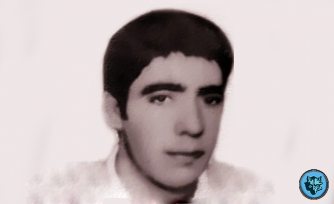 MUSTAFA PEHLİVANOĞLU