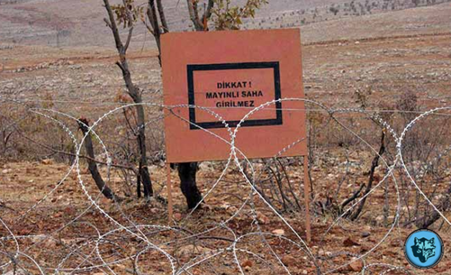 Zararın neresinden dönersen kâr ama..