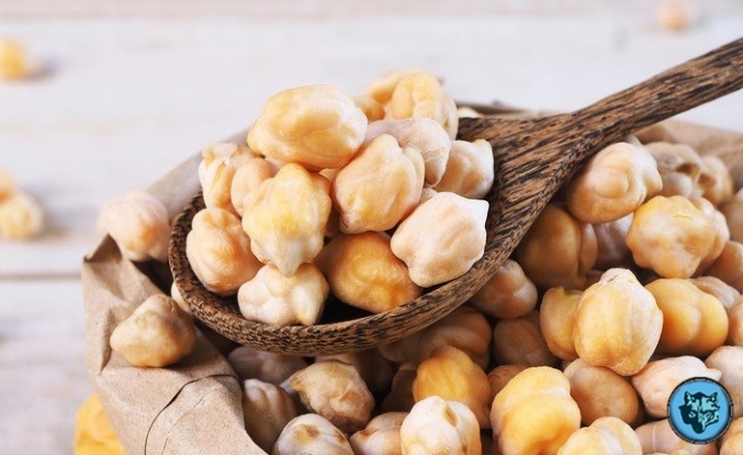 Nohutun bilinmeyen faydaları